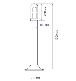 cav-1_di